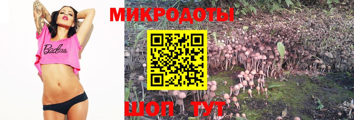 Долгопрудный  Галлюциногенные грибы Magic Shrooms  где купить   Вход с VPN 
